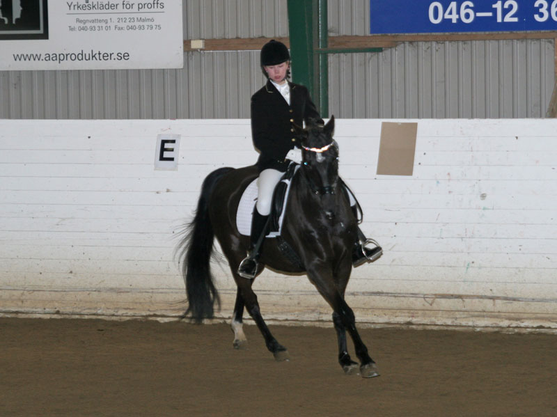 20080406_122652 Linda Hardbrant Mazette